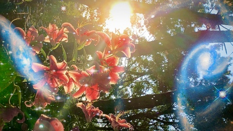 Leaked frandromeda header onlyfans leaked