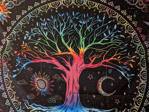 Leaked freckledbear15 header onlyfans leaked