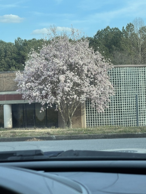 Leaked gabjuz_21 header onlyfans leaked