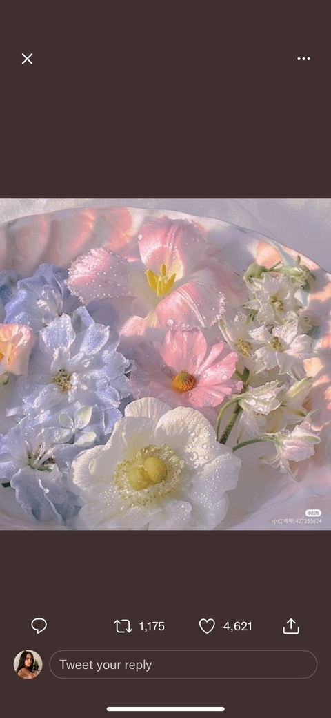 Leaked gaiaembodiment header onlyfans leaked