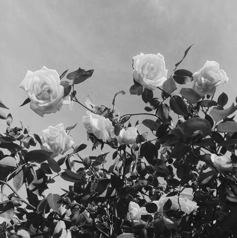 Leaked gibbysmalls18 header onlyfans leaked