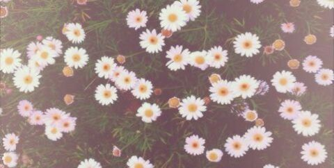 Leaked girls.r.us header onlyfans leaked