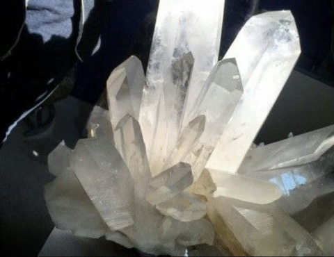 Leaked goddesssri header onlyfans leaked