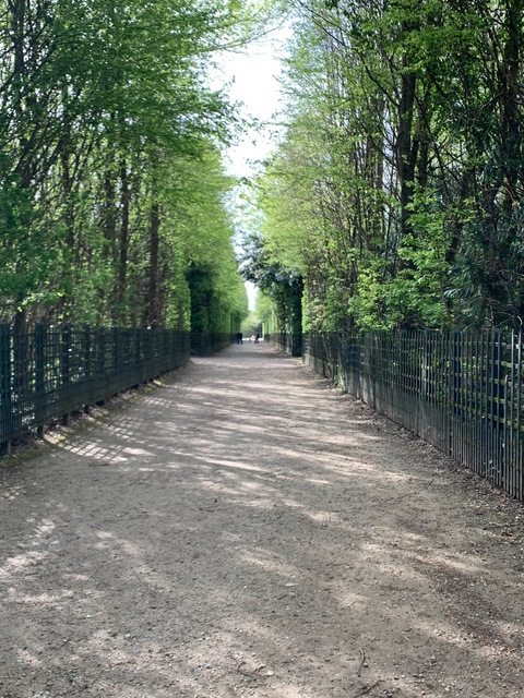 Leaked goldroger73 header onlyfans leaked