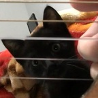 gomulski OnlyFans Leaked 

 profile picture