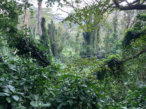 Leaked goodvibesliving header onlyfans leaked