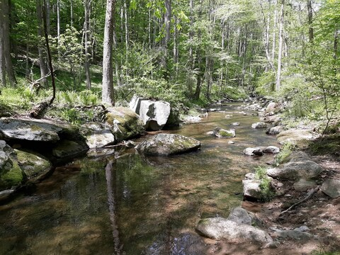 Leaked grimasever header onlyfans leaked