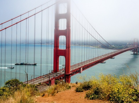 Leaked hairy_bear90 header onlyfans leaked