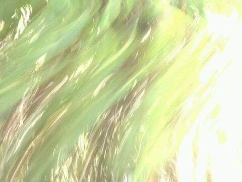 Leaked haley_starr header onlyfans leaked