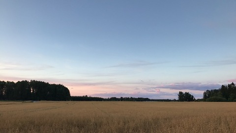 Leaked hanna_panda header onlyfans leaked