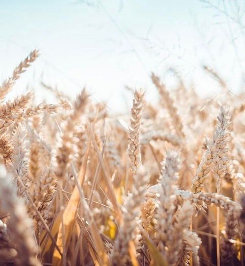 Leaked hannahfarm header onlyfans leaked