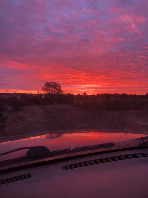 Leaked hannshan header onlyfans leaked