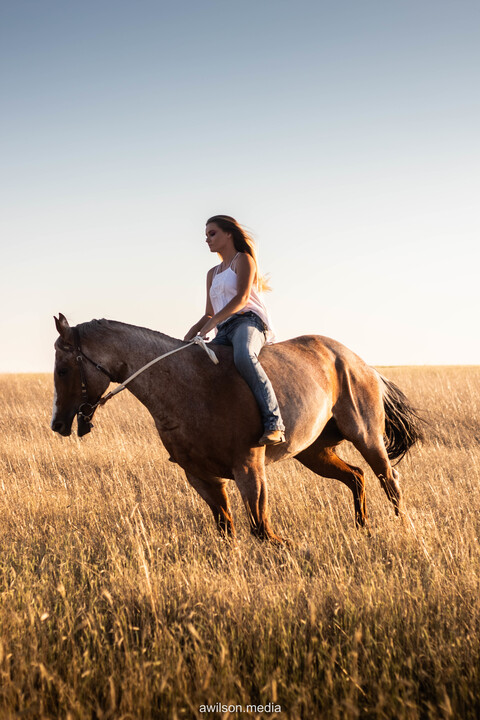 Leaked hansgirl01 header onlyfans leaked