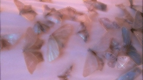 Leaked helloimaphrodite header onlyfans leaked