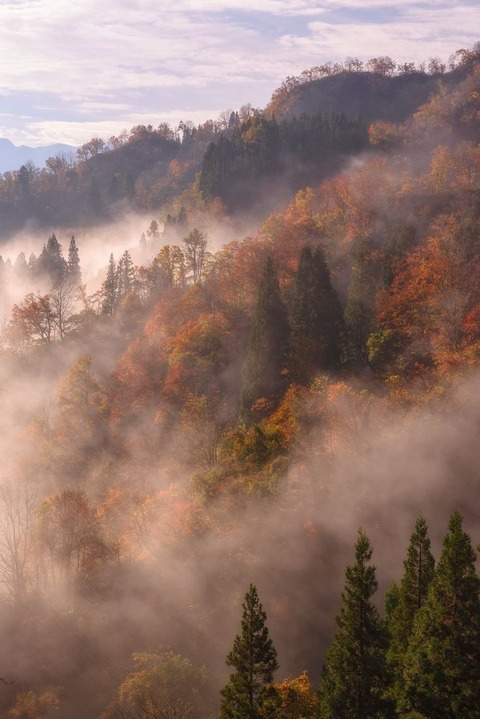 Leaked honeybeeblazed header onlyfans leaked