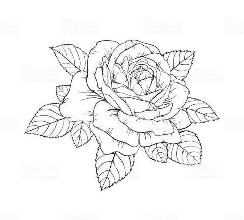 Leaked hornyjeane header onlyfans leaked