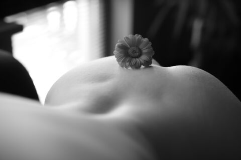 Leaked i_zombiecookie_i header onlyfans leaked