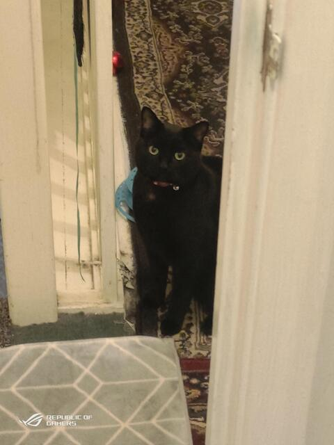 Leaked ilovetallgirls1 header onlyfans leaked