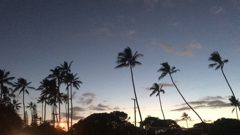 Leaked immp3fect header onlyfans leaked