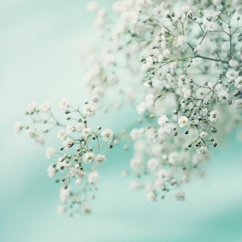 Leaked itsgjean header onlyfans leaked