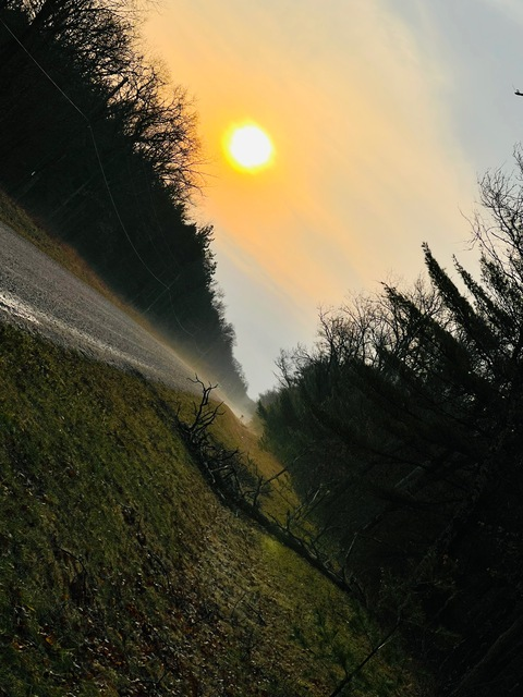 Leaked j3nnif3rlynn header onlyfans leaked