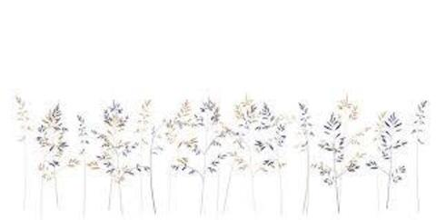 Leaked janenull header onlyfans leaked