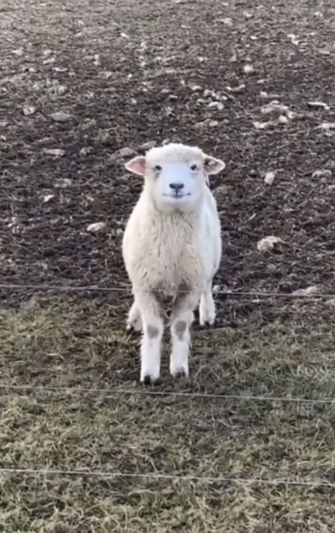 Leaked jazzbb header onlyfans leaked