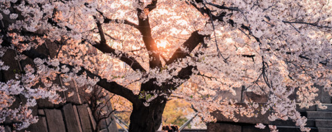 Leaked jcostly header onlyfans leaked