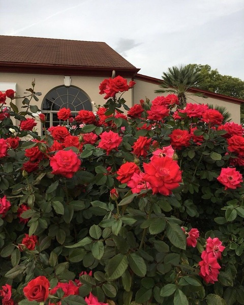 Leaked jcpriv09 header onlyfans leaked