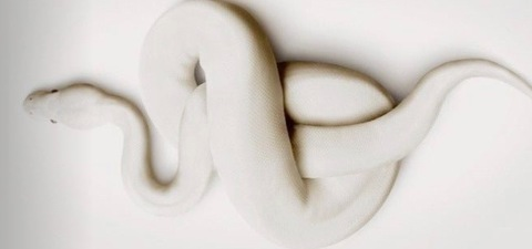 Leaked jerrikadrilla header onlyfans leaked