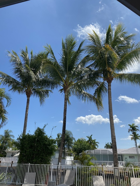 Leaked jfirecrackerxoo header onlyfans leaked