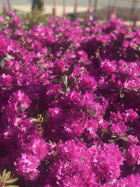 Leaked joi_1105 header onlyfans leaked