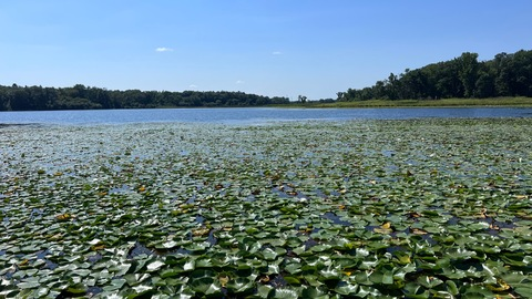 Leaked juanversusall header onlyfans leaked