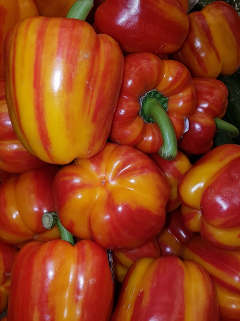 Leaked jules_dreamworld header onlyfans leaked