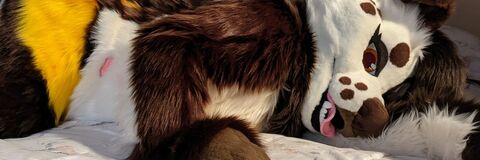 Leaked jurassthiccbark header onlyfans leaked