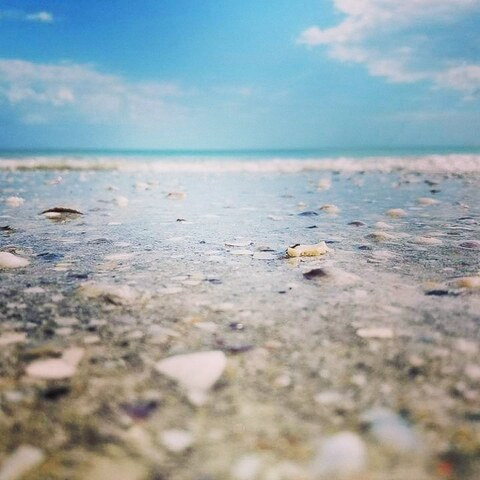 Leaked justmeaka123 header onlyfans leaked