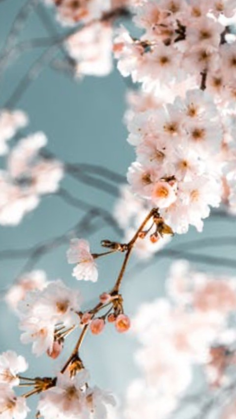 Leaked juvenile_97 header onlyfans leaked