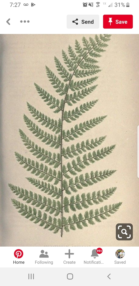 Leaked jvrank header onlyfans leaked