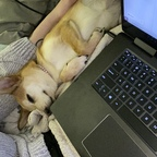 Leaked kat618 onlyfans leaked