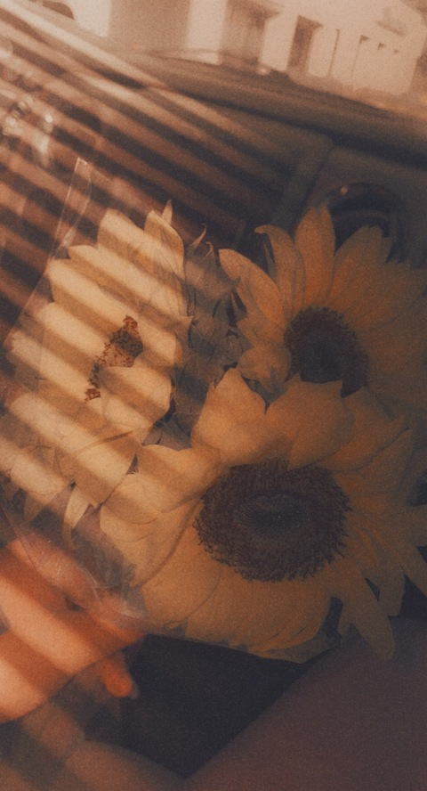 Leaked kate_1229 header onlyfans leaked