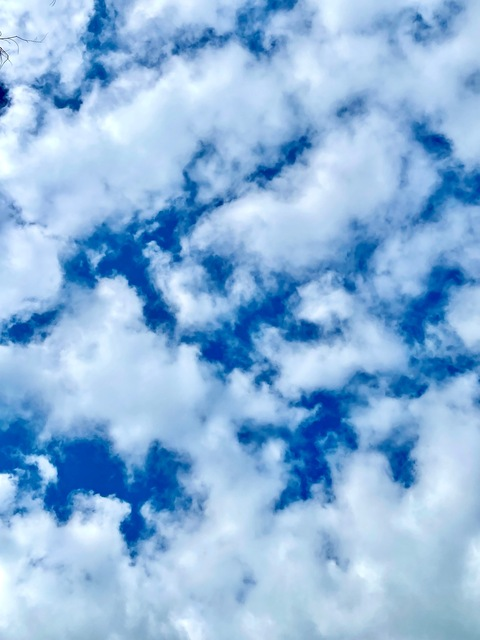 Leaked kaylynn222 header onlyfans leaked