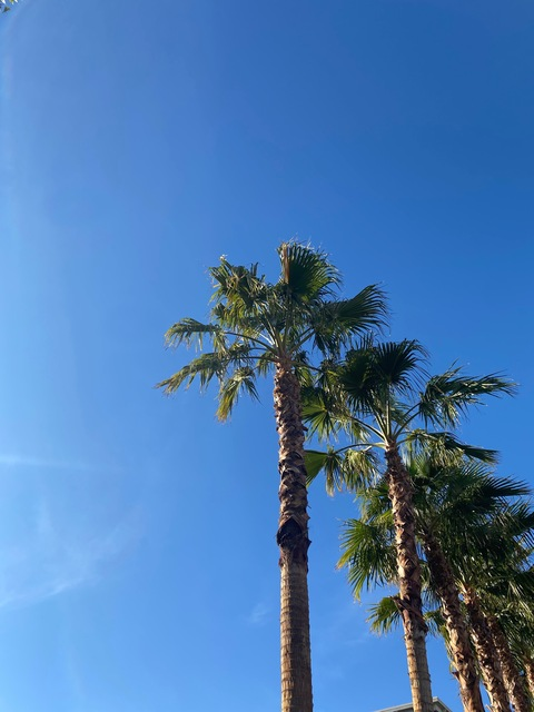 Leaked kellisloane header onlyfans leaked