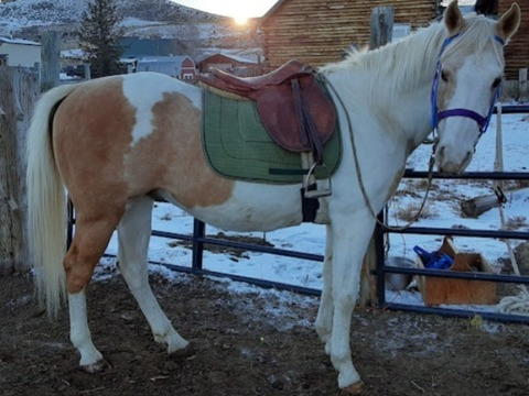 Leaked kelseathathorsegirl header onlyfans leaked