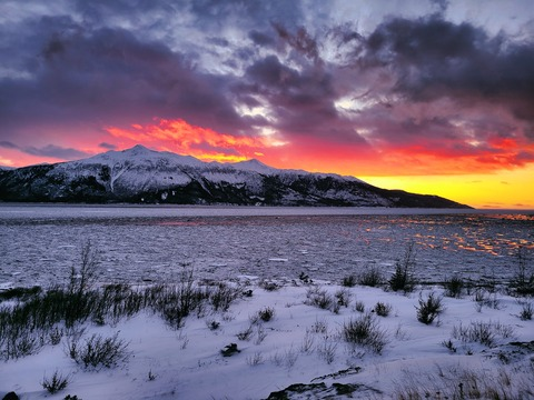 Leaked killerbunnie header onlyfans leaked