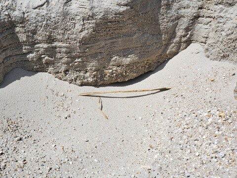 Leaked kind_geo header onlyfans leaked