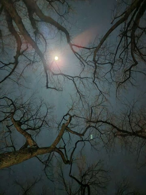 Leaked kiwi131 header onlyfans leaked