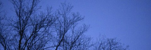 Header of kllrbnny