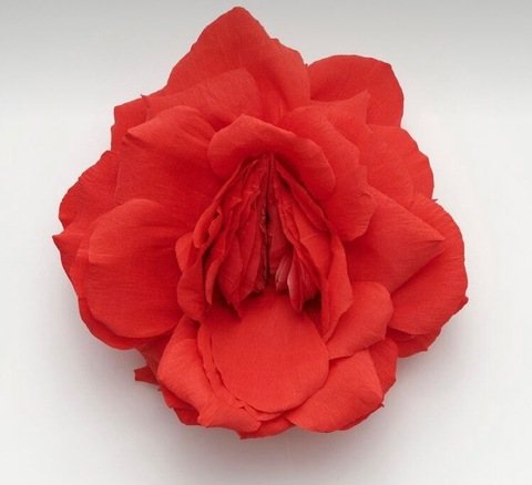 Leaked kookoopuff header onlyfans leaked