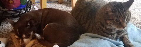 Leaked kweenpernesophe header onlyfans leaked