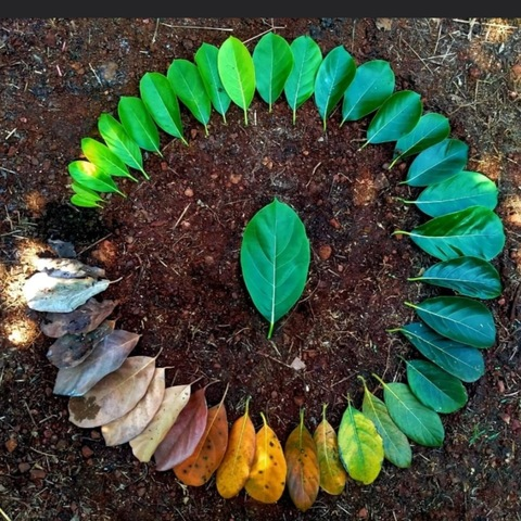 Leaked kyababi header onlyfans leaked